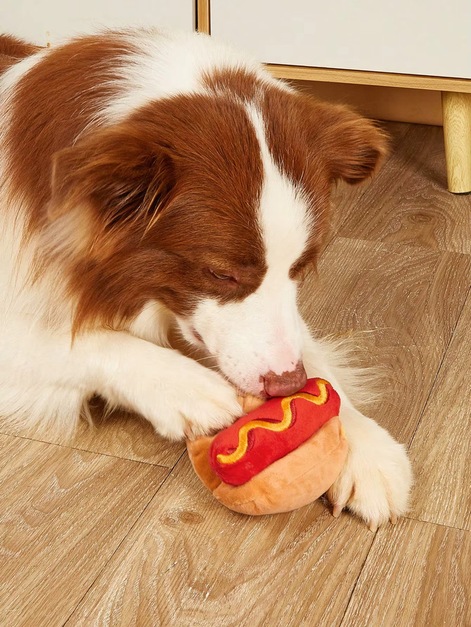 Hot Dog Design Haustier Schleifen Zähne Quietschendes Plüschtier, 1-teiliges Set - Bild 2