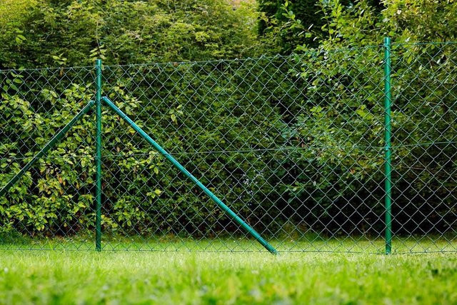 Maschendrahtzaun Komplett-Set in Grün, Länge: 25 m, Höhe: 80 cm - Bild 1