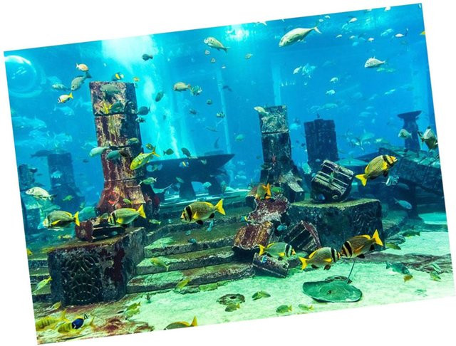 Korallen-Aquarium-Hintergrund Unterwasser-Poster als Wanddekoration für dein Fischbecken, Farbe: Blau, Breite: 61 cm, Höhe: 30 cm - Bild 1