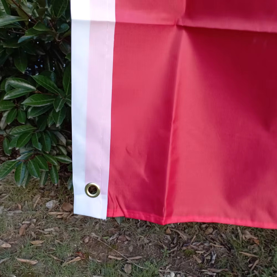 Aerlxemrbrae Hängende Russische Flagge aus Polyester, Nationales Banner Russland, B/H: 150 x 90 cm - Bild 3