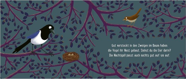 Gute Nacht im Wald von Emilia Dziubak, Pappbilderbuch - Bild 1