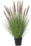 DECORIS Kunstpflanze Lampenputzergras in Grün und Braun, B: 45 cm, H: 80 cm - Bild 1