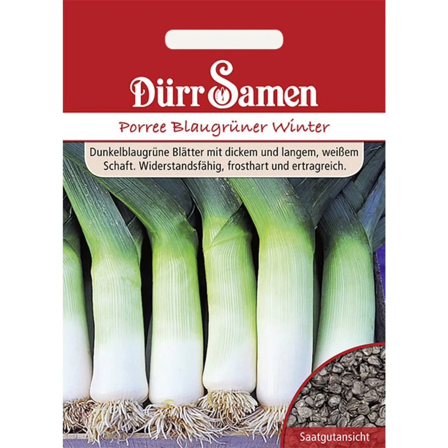 Dürr Lauch Blaugrüner Winter Saatgut Gemüse 400 g - Bild 2