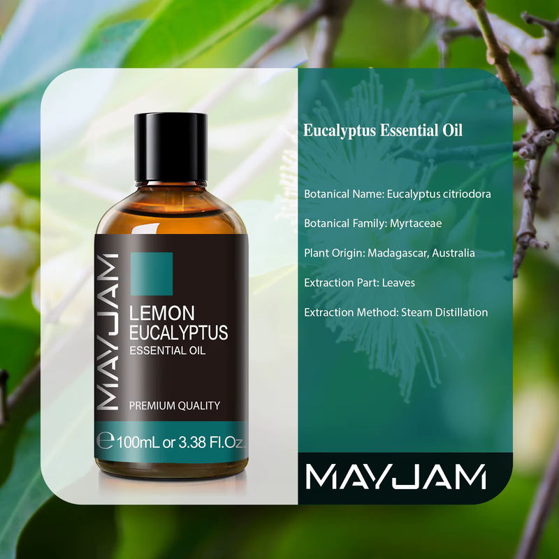 MAYJAM Ätherisches Öl Zitronen-Eukalyptus mit Pipette, 100 ml, Braunes Glas, für Luftbefeuchter und Diffusoren - Bild 2