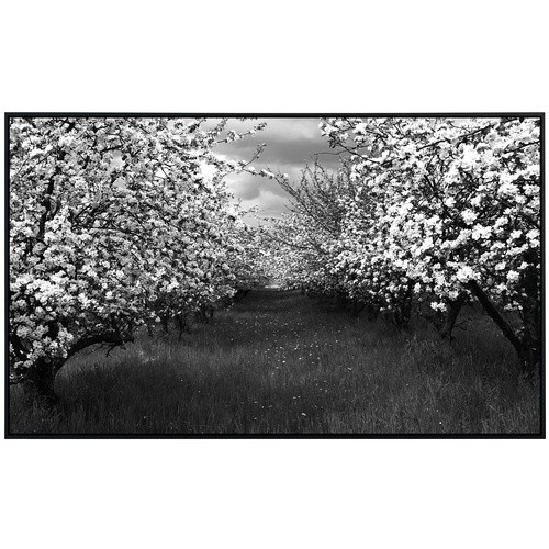 papermoon Infrarotheizung EcoHeat Baumplantage Schwarz Weiss mit Matt-Effekt und App-Steuerung - Bild 2