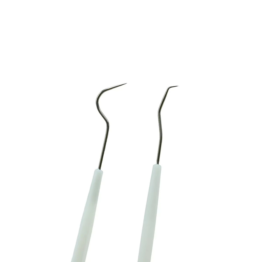 CHIHIRO CARE Dental Tool Kit, 10-teiliges Edelstahl Set zur Mundpflege - Bild 1