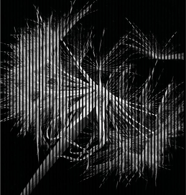 FN Acustico Akustikplatte Pusteblume in Bunt aus PET und MDF, H x B x T: 2.400 x 2.253 x 19 mm - Bild 1