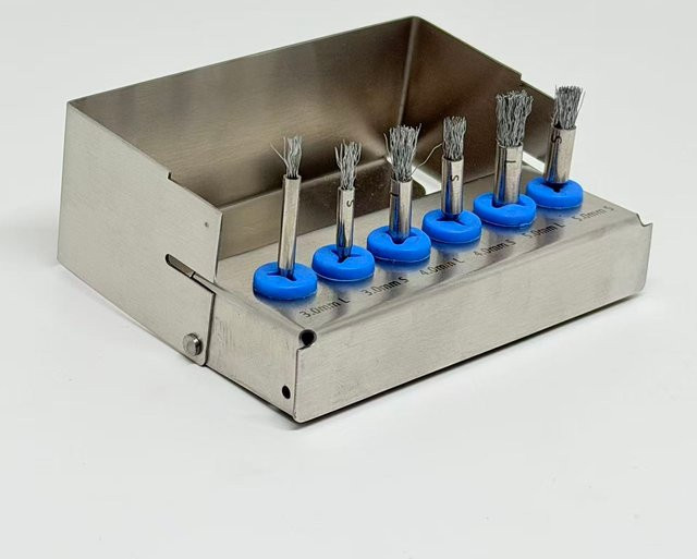 DENILK Zahnmedizinische Debridement-Bürsten, 6-teiliges Set, Titan-Bürsten - Bild 1