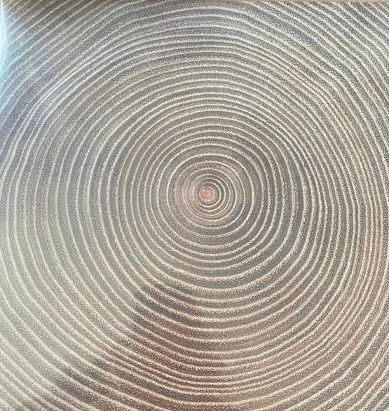Amjad Ali Khan, Amaan Ali Bangash - Moksha Vinyl LP, 12 Zoll, Womad Music Ltd, Grau - Bild 1