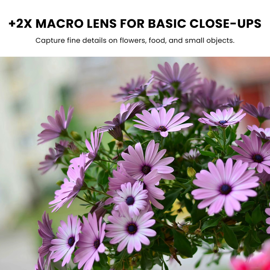 WalkingWay Makro-Nahaufnahmefilter Set für Kameraobjektive in Schwarz mit +2 +4 +8 +10x Zoom für detailreiche Aufnahmen von Schmuck und Pflanzen - Bild 1
