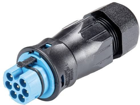 Wieland Electric 96.072.4853.9 Steckverbinder - Bild 1