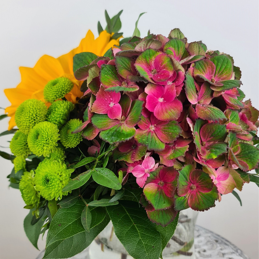 Unverhofft Blumenstrauß Sonnenblumen Hydrangea Chrysanthemum Gelb - Bild 2