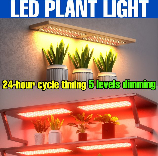 CanLing Vollspektrum Quantum Board LED Pflanzenlampe mit Timer für Kaktus, Gemüse und Obst, DC5V USB Anschluss - Bild 1