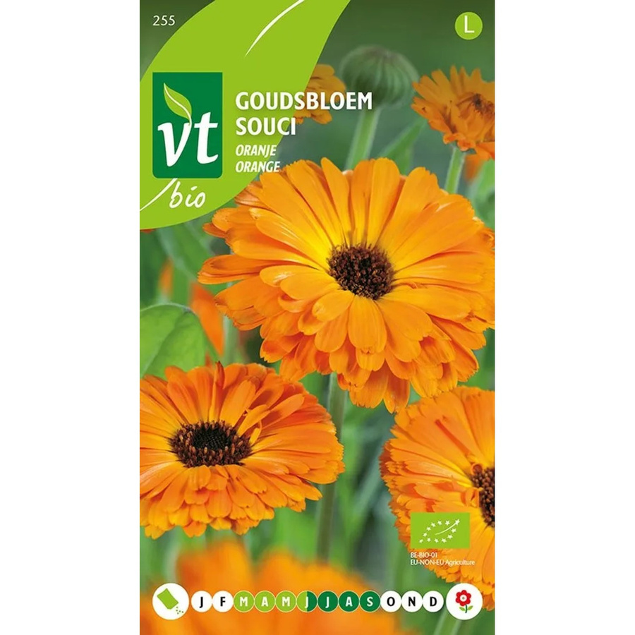 Arborix Ringelblume Saatgut Orange Blüten 2 g - Bild 2