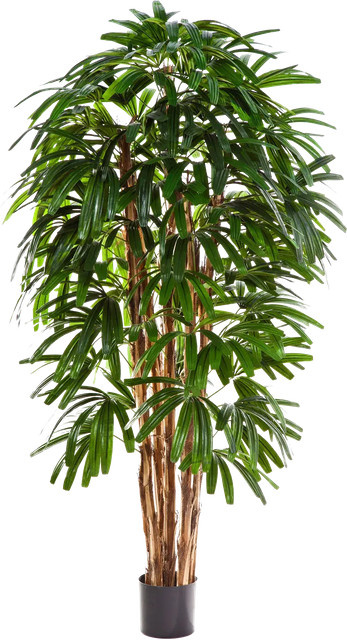 Künstliche Steckenpalme Noemi von Aplanta, Höhe: 150 cm - Bild 1