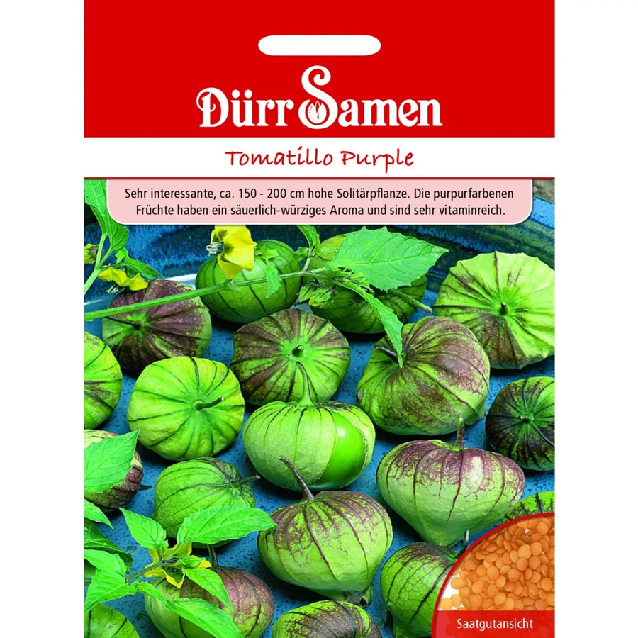 Dürr Tomatillo Purple Saatgut - Bild 2