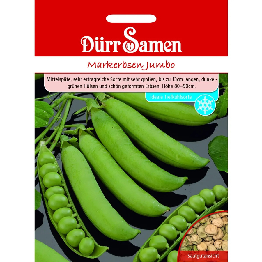 Dürr Markerbsen Jumbo Saatgut für Gemüse - Bild 2