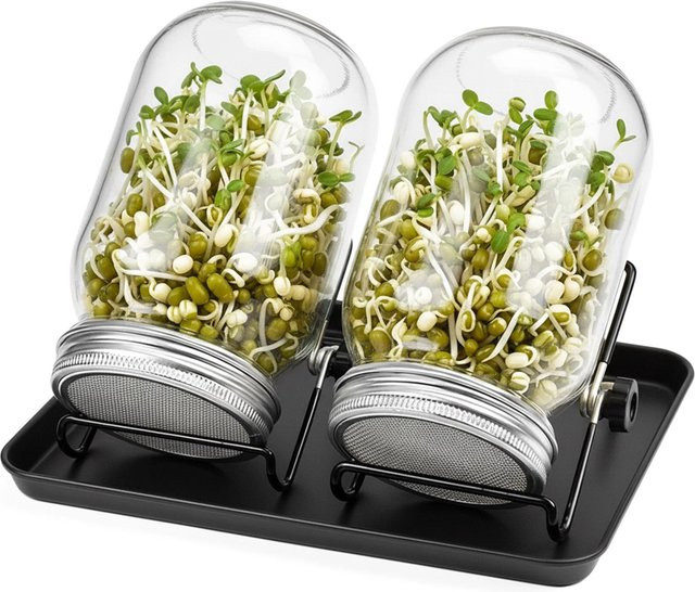 Relaxdays Sprossenglas 2er Set aus Glas und Edelstahl in Schwarz, Höhe: 16,5 cm, Breite: 10 cm - Bild 1