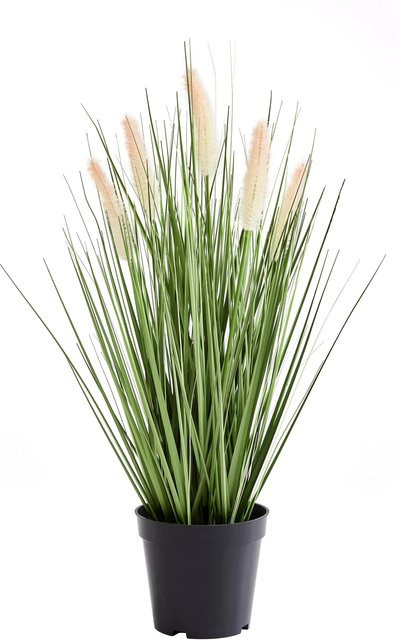Künstliches Lampenputzergras von Aplanta für den Tisch, Höhe: 56 cm - Bild 1