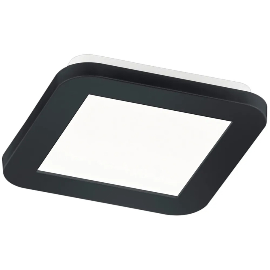 Reality LED Deckenleuchte Camillus Schwarz matt, B/T/H: 17,0 x 17,0 x 3,0 cm - Bild 2