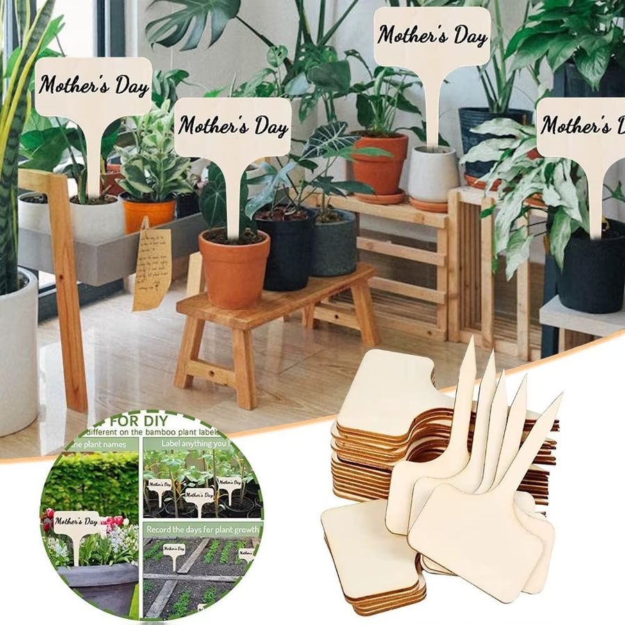 Beiges Pappelholz Namensschild für den Gartenbau als Blumenteller-Indikator - Bild 4