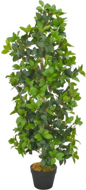 furnicato Künstlicher Lorbeerbaum in Grün mit Topf, Höhe: 120 cm - Bild 1