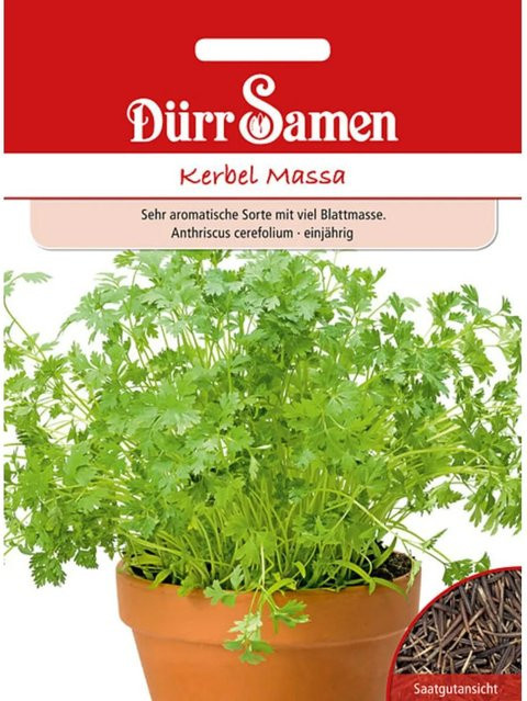 Dürr Kerbel Massa Saatgut 700 g - Bild 1