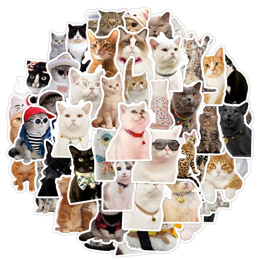 50 Stück wasserfeste Katzen-Meme-Graffiti-Aufkleber aus Vinyl in Multicolor von Anime Worlds Store für Computer und Trinkflaschen - Bild 3