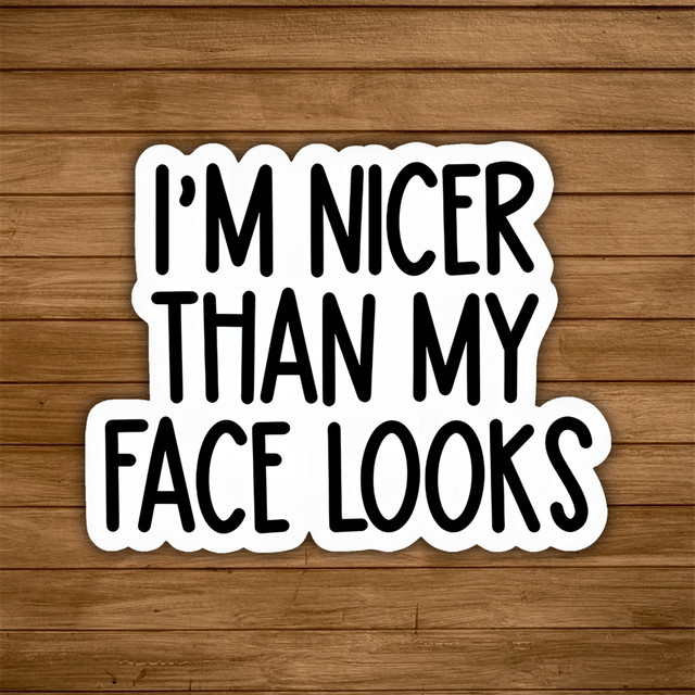 10 lustige Aufkleber I'm Nicer Than My Face Looks für Laptop und Tumbler in ästhetischem Design - Bild 1