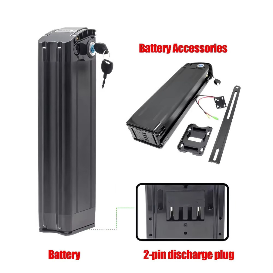 Aleaivy Silver Fish E-Bike Akku Lithium-Batterie mit BMS und Ladegerät für Elektromotorräder in Schwarz oder Silber - Bild 2