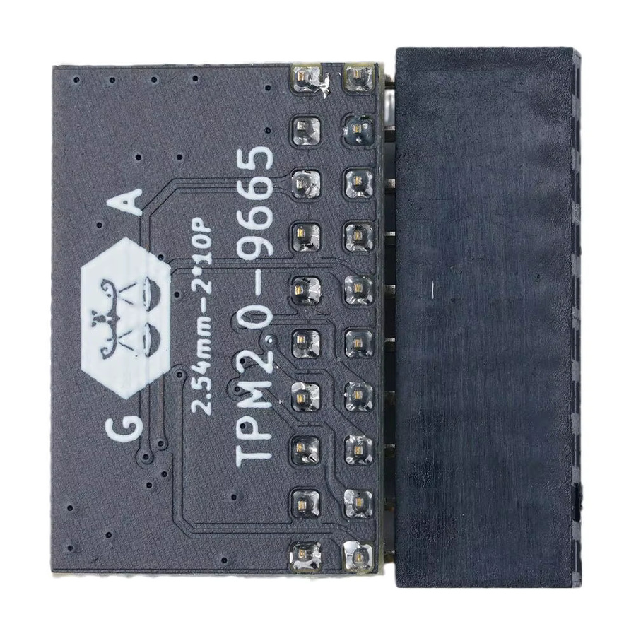 20-poliges TPM 2.0 Schutzmodul für Asus und Gigabyte, Farbe: Schwarz - Bild 2