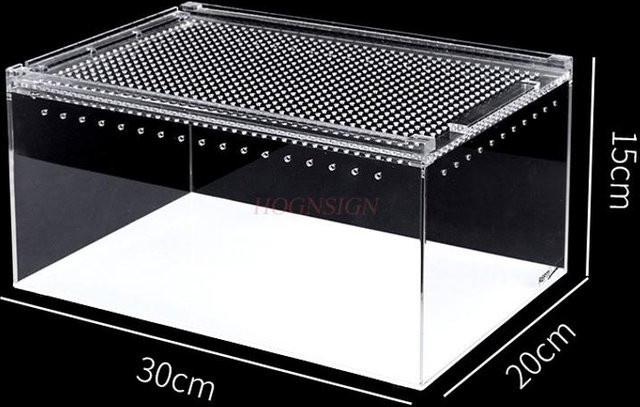 Binchi Outdoor Product Acryl Zuchtbox, Terrarium - Bild 1