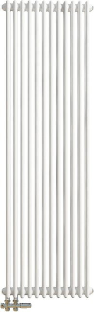 Duschparadies Traditioneller Heizkörper in Gusseisen-Optik mit 2 Säulen, Weiß, H: 180 cm, B: 56 cm - Bild 1