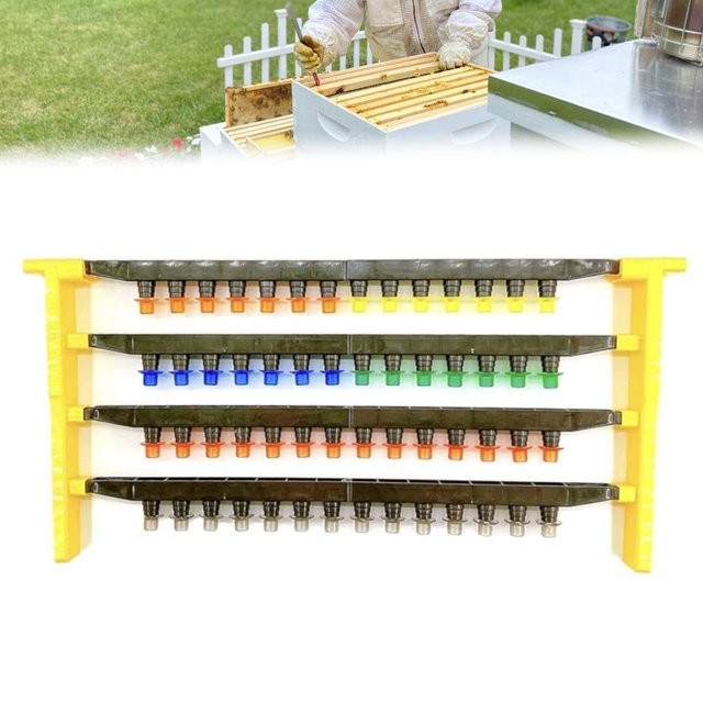 JZBZ Königinnen-Aufzuchtsystem Set aus Kunststoff in Schwarz und Multicolour mit 2 Seitenleisten, 4 Zellenhaltern und 60 Zellenbechern - Bild 1