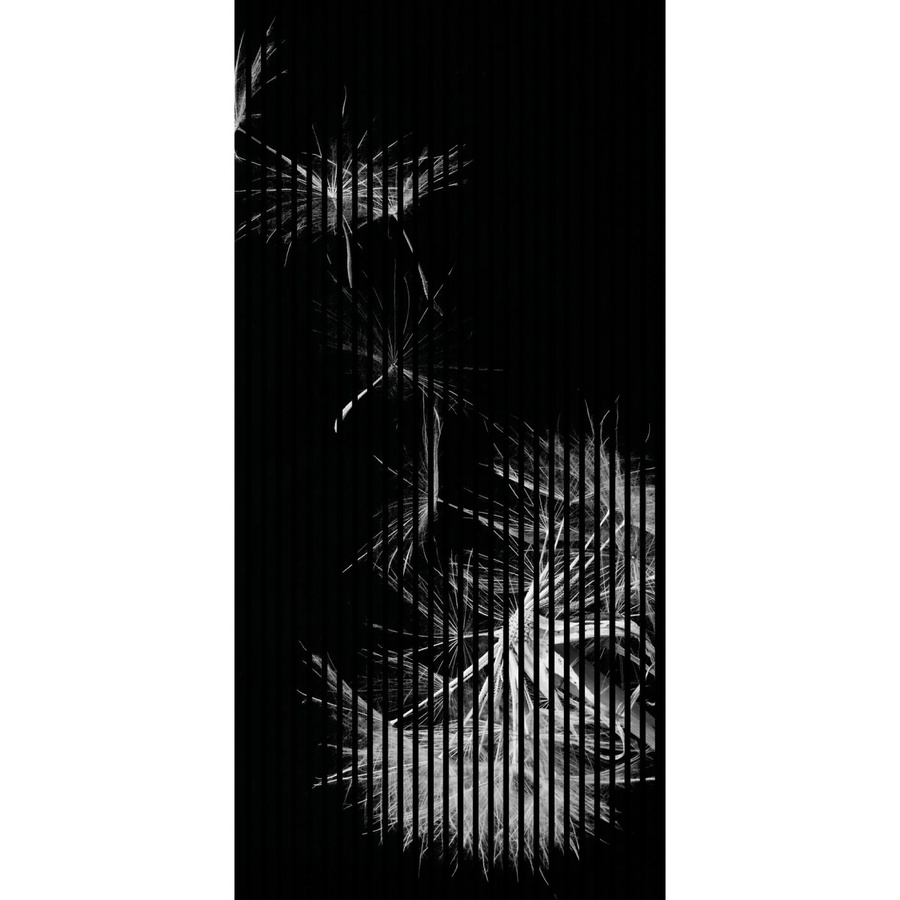 FN Acustico Akustikplatte Pusteblume in Bunt aus PET und MDF, H x B x T: 2.400 x 1.133 x 19 mm - Bild 2