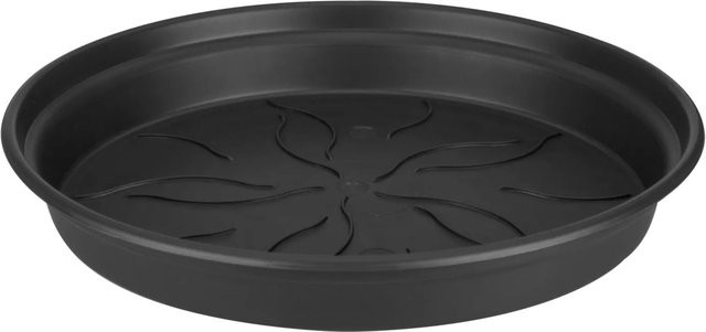 Elho Untersetzer Green Basics Schwarz Durchmesser: 10 cm - Bild 1