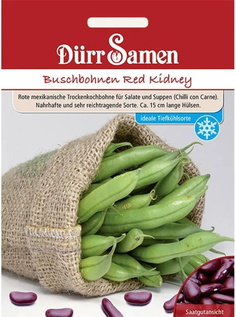 Dürr Red Kidney Buschbohnen Saatgut 100 g - Bild 1