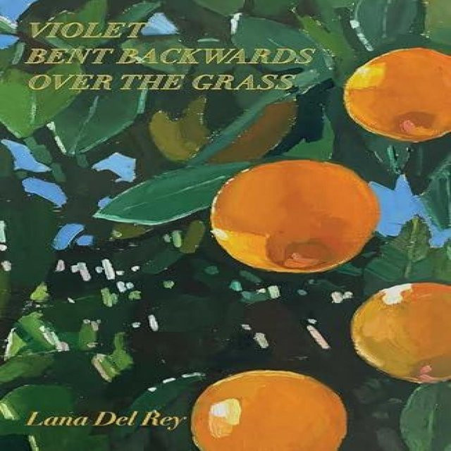 Violet Bent Backwards Over the Grass von Lana Del Rey, Hardcover - Bild 1