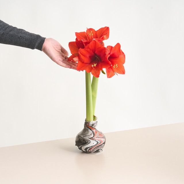 Amaryllis in Wachs von BLUME2000 in Weiß und Schwarz für die Tischdekoration - Bild 1