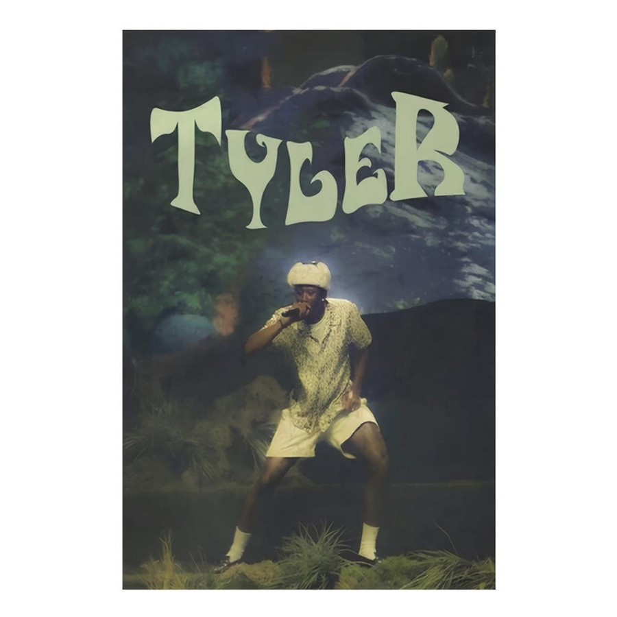 Tyler The Creator Live-Performance Wandteppich von JMG Household Supplies, Mehrfarbig, B: 40 cm, H: 60 cm - Bild 2