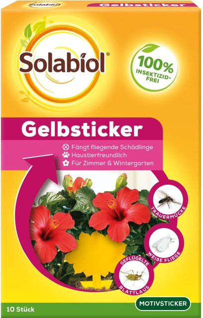 Solabiol Gelbsticker zur Bekämpfung fliegender Schädlinge für Zimmerpflanzen und Wintergartenpflanzen, 10 Stück - Bild 1
