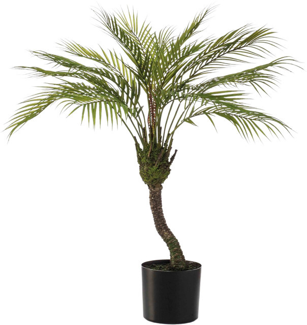 Künstliche Bergpalme Nelly von Aplanta, Höhe: 85 cm - Bild 1