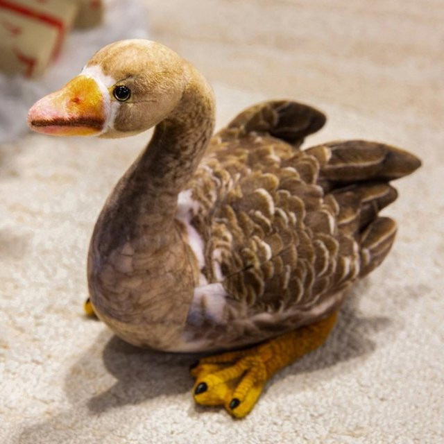 Yiran Health & Beauty Schwein Stofftier Plüschkissen, Braun - Bild 1