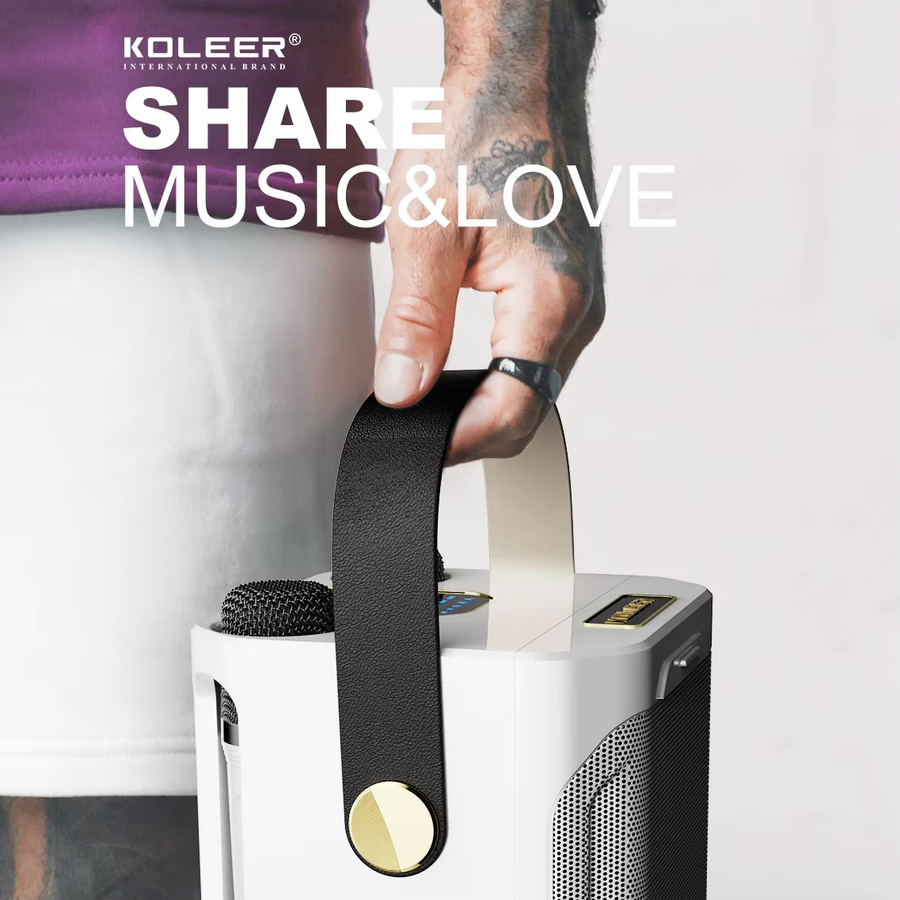 Tragbarer Bluetooth Karaoke-Lautsprecher mit Mikrofon und Subwoofer von AyeBeau in Weiß - Bild 5