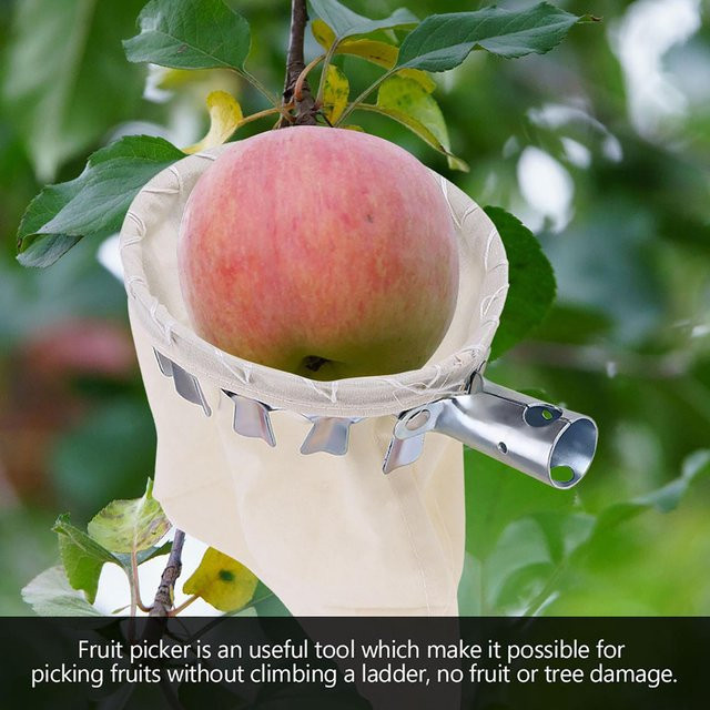 Fruchtpflücker Kopf Korb mfySpace Obstpflückwerkzeug für die Ernte von Äpfeln und Früchten in Beige - Bild 1