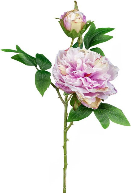 Kunstblume Peonie von GASPER in Pink - Bild 1