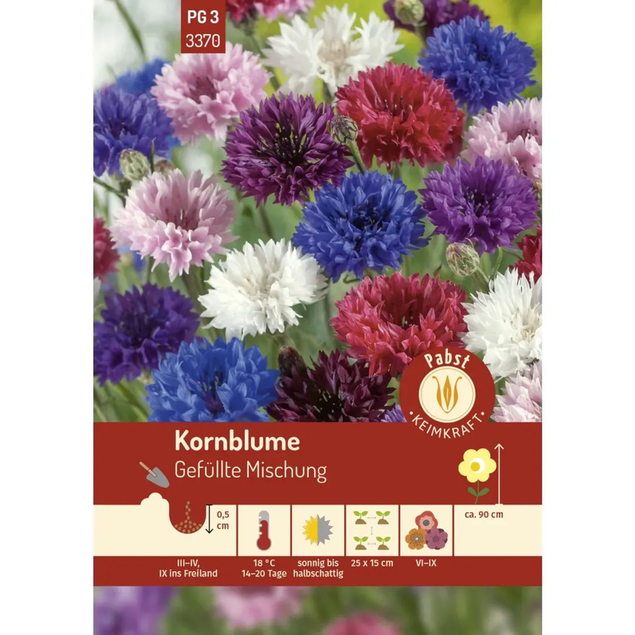 Pabst Keimkraft Kornblume Gefüllte Mischung Saatgut - Bild 2