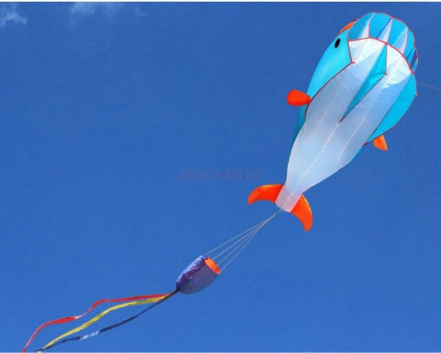 Binchi Outdoor Product Delfin-Weichdrachen, 3D, ab 3 Jahren - Bild 1