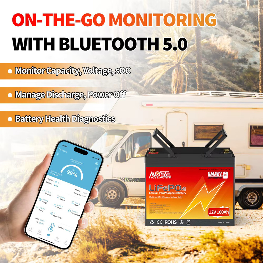 MOSEWORTH LiFePO4 12V 100Ah Lithiumbatterie mit Bluetooth BMS für Boot, Wohnmobil und Camper - Bild 3