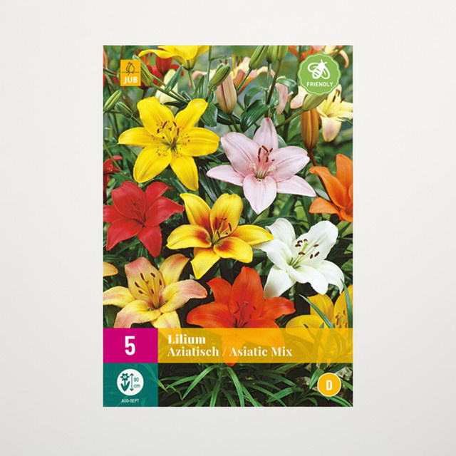 Asiatische Lilien Mix von BLUME2000 mit 5 Knollen für Balkon und Terrasse - Bild 1